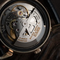 Bulova Caliber 11 ALACD J845324 (1967) - image 12