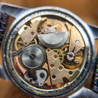 Thumbnail 19