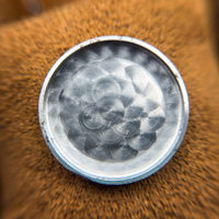 Thumbnail 23