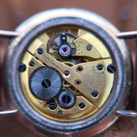 Thumbnail 19