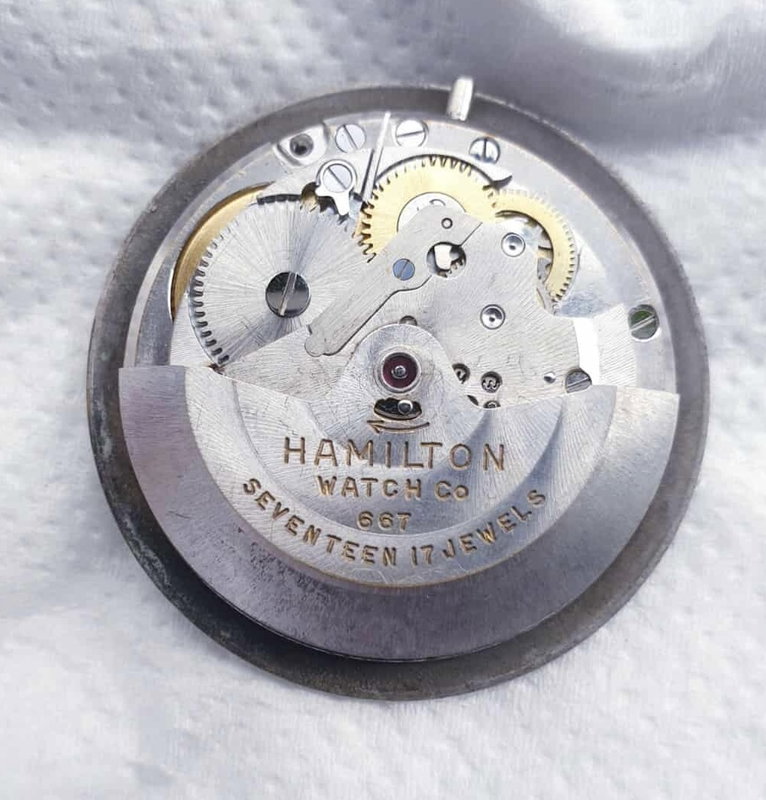 Hamilton Hamilton - Automatic 667 - No Reserve Price - Men - 1960-1969 vintage watch - image 26