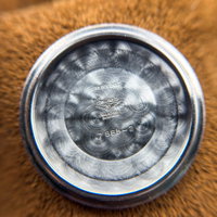 Thumbnail 20