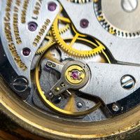Thumbnail 28