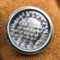 Thumbnail 23