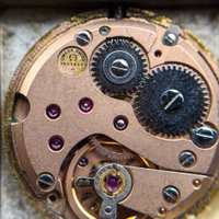 Thumbnail 23
