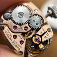 Thumbnail 12