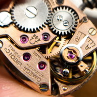 Thumbnail 14