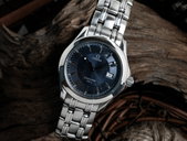 Omega - Seamaster 120M - 196.1501 - Men - 1998