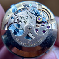 Thumbnail 29