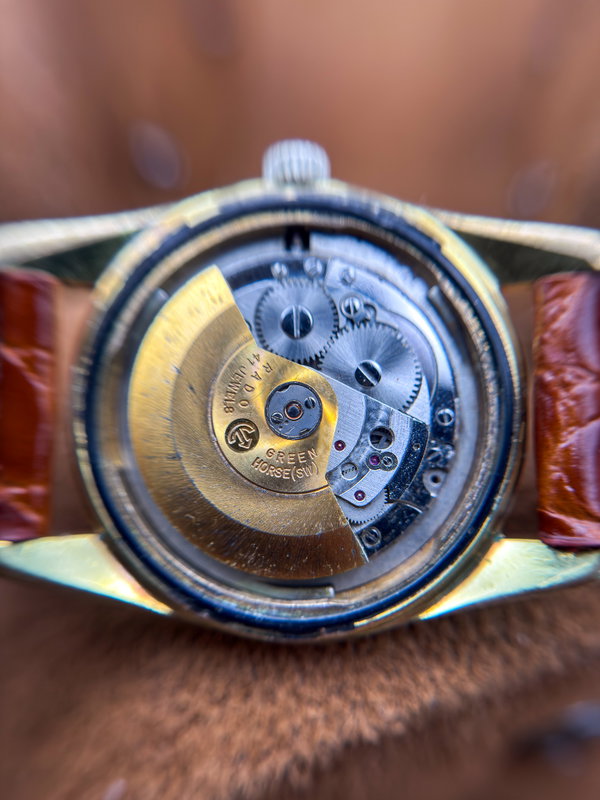 Rado Rado - Green Horse - No reserve price - 11658 - Men - 1960-1969 vintage watch - image 25