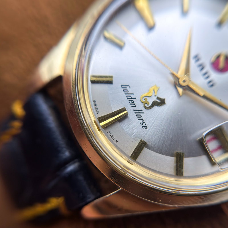 Rado Rado - Golden Horse [Near-Mint] - No reserve price - 11674/2 - Men - 1970-1979  vintage watch - image 17