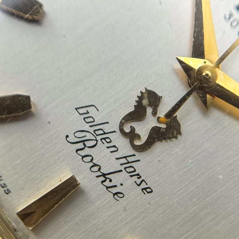 Rado Rado - Golden Horse Rookie - No reserve price - 11730 - Men - 1960-1969 vintage watch - image 22