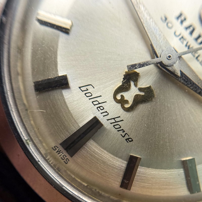 Rado Rado - Golden Horse - No reserve price - 11675 - Men - 1960-1969  vintage watch - image 18