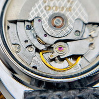 Thumbnail 15
