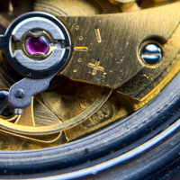Thumbnail 22