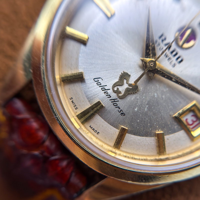 Rado Rado - Golden Horse - No reserve price - 11674 - Men - 1960-1969 vintage watch - image 15
