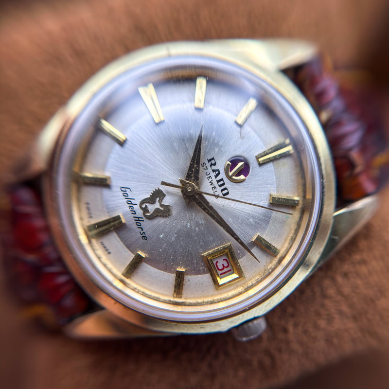 Rado Rado - Golden Horse - No reserve price - 11674 - Men - 1960-1969 vintage watch - image 16
