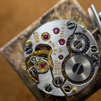 Thumbnail 25