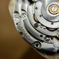 Thumbnail 28