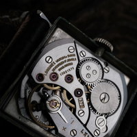 Longines Caliber 370 5019 (1967) - image 17