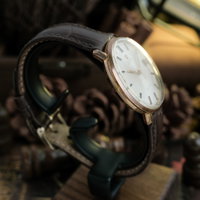 Omega De Ville 166033 (1960-1969) - image 5