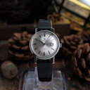 Omega - De Ville Türler Automatic - Sans prix de réserve - Unisexe - 1960-1969