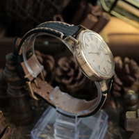 Omega Seamaster 166 0209 (1970-1979) - image 5