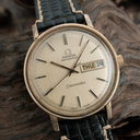 Omega - Seamaster - No reserve price - 166 0209 - Men - 1970-1979