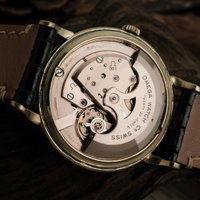 Omega Caliber 501 2888 / 2864 3 SC (1958) - image 14