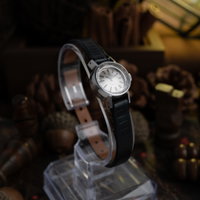 Omega De Ville 551.038 (1970) - image 4