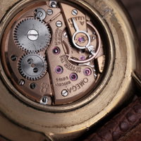 Thumbnail 16