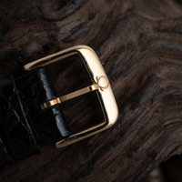 Thumbnail 14