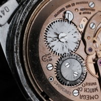Thumbnail 22