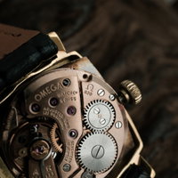 Omega Genève 511 298 (1970) - image 15