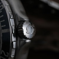 Omega Seamaster Professional 396.1062 (1990-1999) - image 9