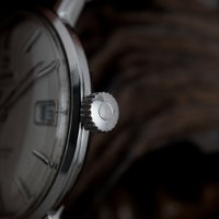 Omega Seamaster De Ville (1960-1969) - image 10