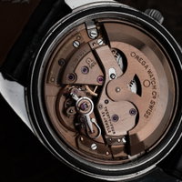 Omega Seamaster 166.067 (1970-1979) - image 8