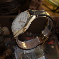 Omega Seamaster 166.067 (1970-1979) - image 6