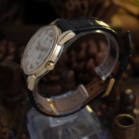 Omega Seamaster 166.009 (1964) - image 6