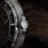 Omega Seamaster Professional 396.1062 (1990-1999) - image 11
