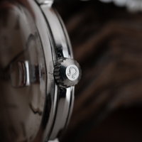 Omega Seamaster 166.003 SP (1970-1979) - image 9