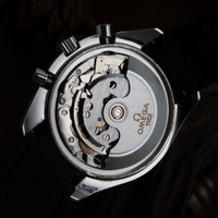 Omega Speedmaster Racing 175 0086 (2001) - image 22