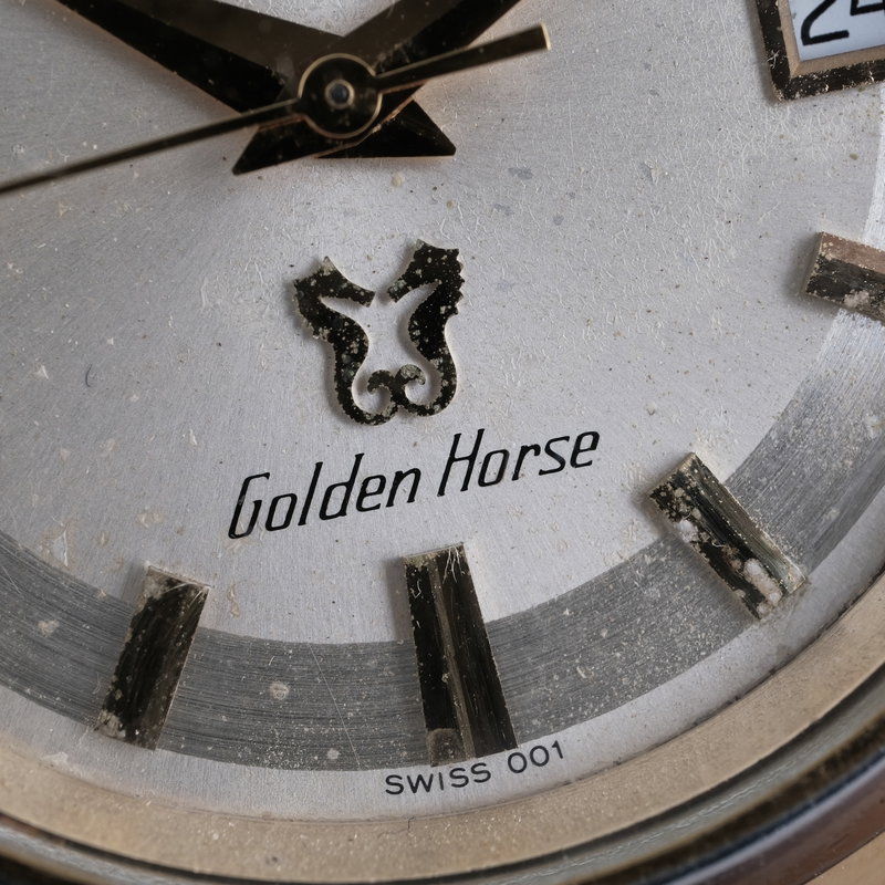 Rado Golden Horse 633.3673.2 (1980-1989) - image 9