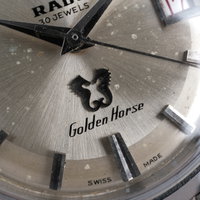 Rado Golden Horse 'Serviced' 11675 (1960-1969) - image 9