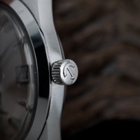 Rado Golden Horse 11675/1 (1960-1969) - image 9