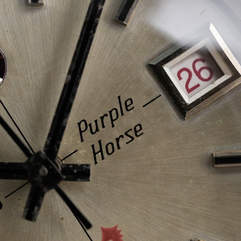 Rado Rado - Purple Horse - No reserve price - 11794 - Men - 1970-1979 vintage watch - image 14